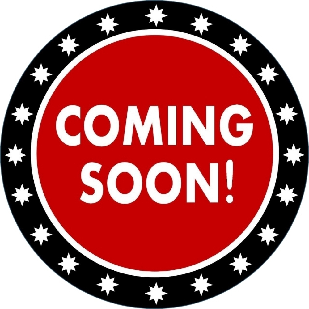 Hard Rock Cafe NEW ORLEANS Logo Pint Glass